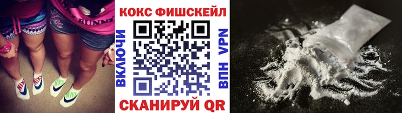Купить где  Егорьевск  COCAIN Fish Scale 