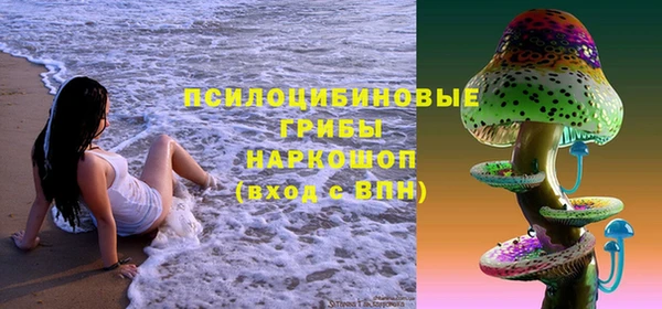 соль ск Зеленокумск