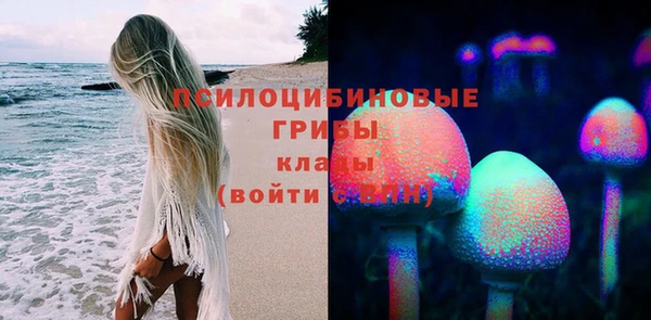 соль ск Зеленокумск