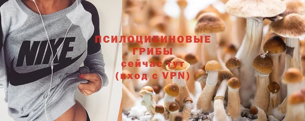 соль ск Зеленокумск