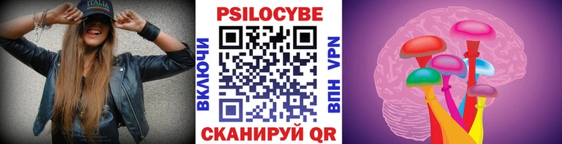 Купить закладки  Егорьевск  Галлюциногенные грибы Psilocybe 